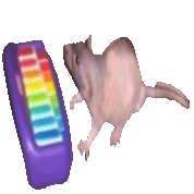 neil square transparent